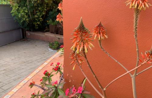 La Casita de Descanso - Das Häuschen der Ruhe - La Luz - La Orotava - Foto 35