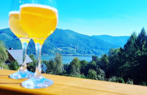 Willa Jeleń - Foto 1