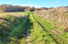 Studette avec terrasse Comme à la maison - Foto 22
