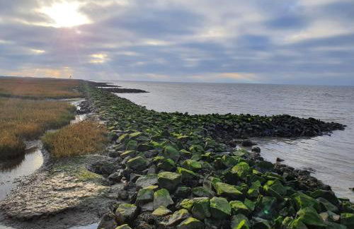 Ferienwohnung Fischers Fritze - Foto 23