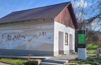 Seeschwalbe - Foto 22