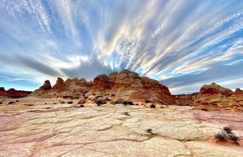 Oranch House, Studio & Wilderness - Foto 29