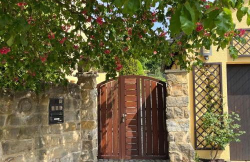 Ferienoase in der Bierstadt Radeberg bei Dresden - Foto 16