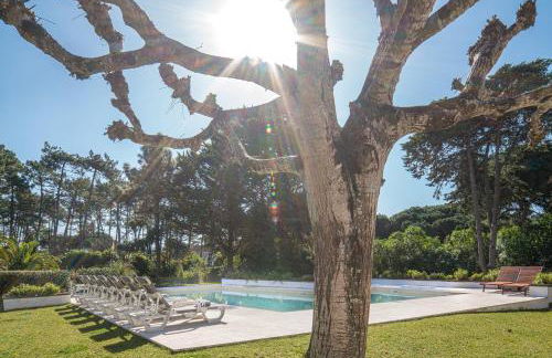 Villa Maxima - Foto 49