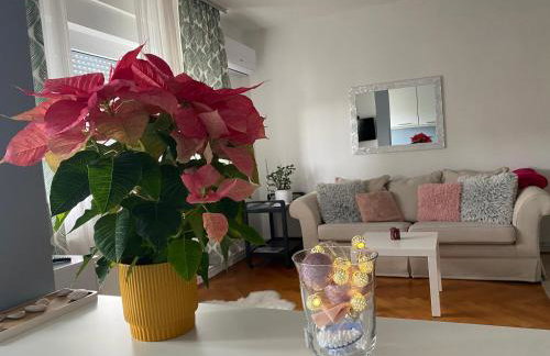 Apartment in the city center - Foto 4