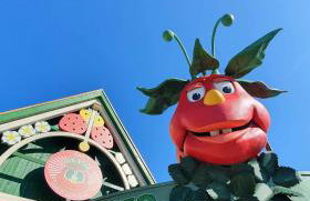 AB Musiol - Photo 33