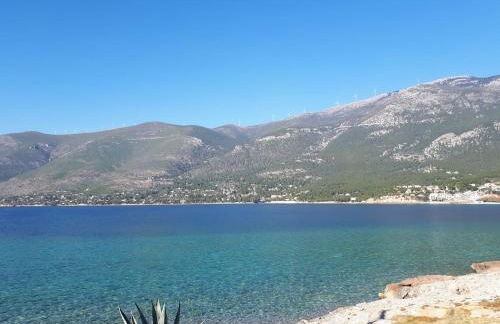 Where the Mountains meet the Sea - Foto 23