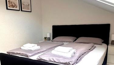 Stilvolle Wohnung in Sandhausen - Foto 2