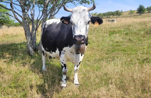 la Marcairie - Foto 41