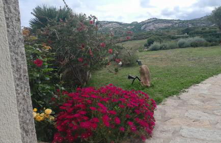 Dependance Pavoncella - Foto 26