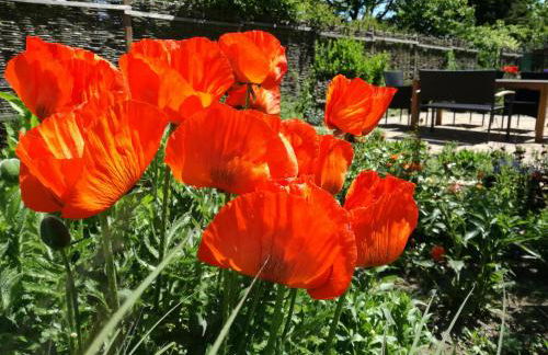 Schöne, große Ferienwohnung in Waldenbuch, nahe Stuttgart Messe, Böblingen, Sindelfingen - Foto 38