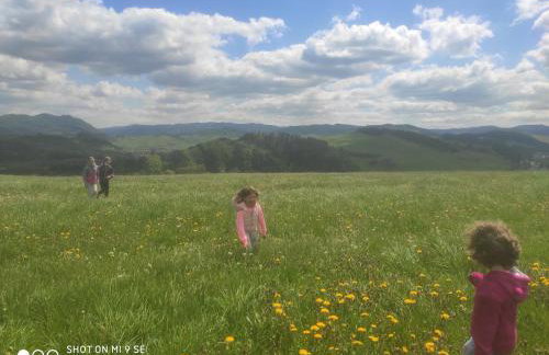 Miedzy Owcami Meeee - Foto 36