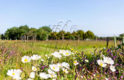 The Sty, rural retreat for couples - Foto 24