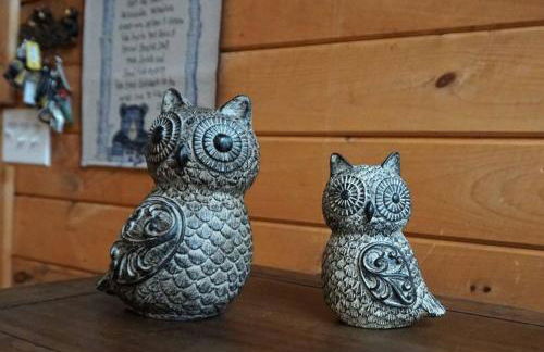 UNQUESTIONABLY the BEST VIEWS in North Georgia - Photo 14