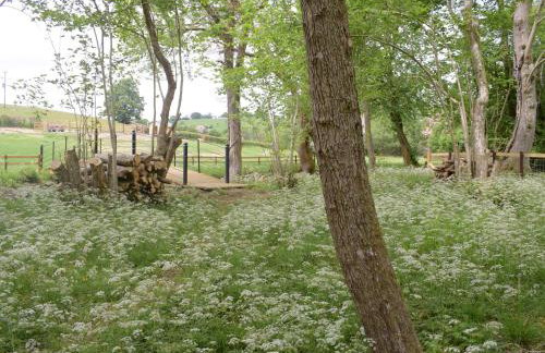 Cain Pod Vip - Foto 13