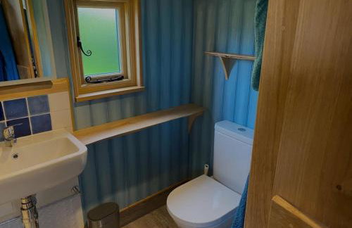 1 Bed in Llanfihangel-y-Creuddyn oc-c34624 - Foto 14