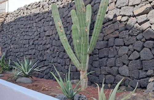 Central Flat Puerto del Carmen - Foto 28