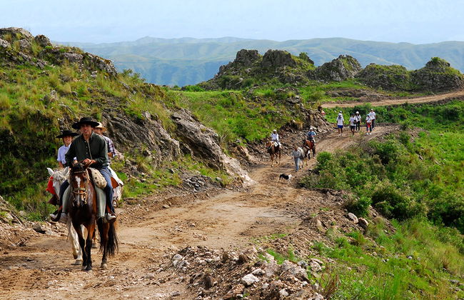 Reitausflug mit Mittagessen - Halbtages-Tour - Foto 2