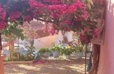 Βίλα Πασιθέα - Photo 25