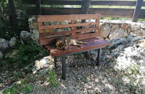 The Forest House Krk 2 - Photo 58