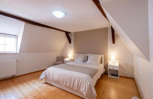 Maison Kobold XVIè siècle - Foto 44