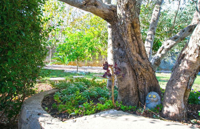 House Pansy - Foto 26