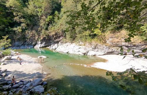 Ground floor apartment with garden - Foto 19