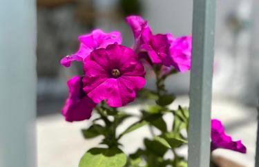 ΝΝ Delphi Loft - Foto 32