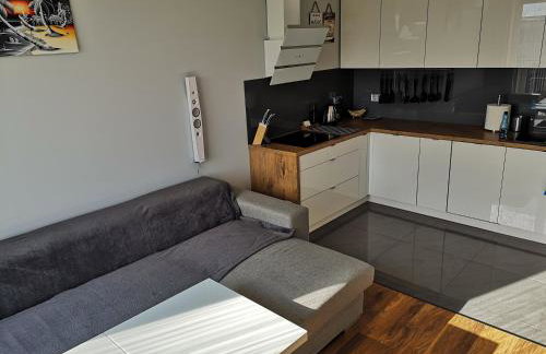 Apartament SIECHNICE - Photo 9