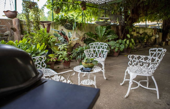 B&B Baby y Jose - Foto 73