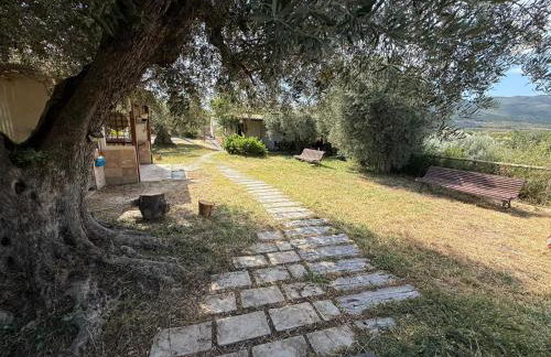 CasaRuibella - Foto 50