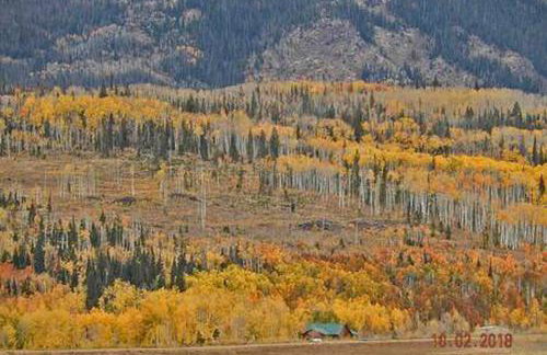 Cabin Rental for Large Groups Ideal for Colorado Glamping - Foto 66