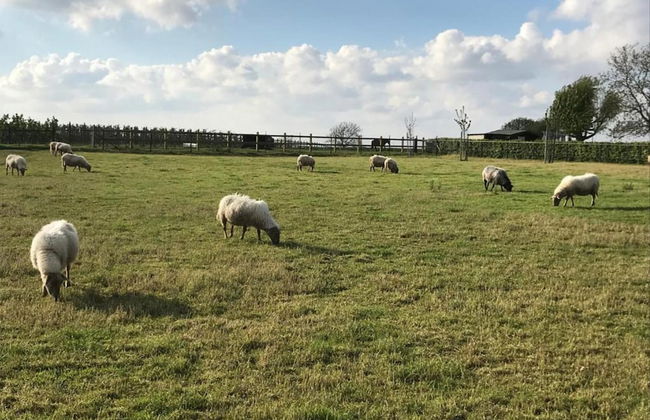 Holiday Home in Limburg Near Cafe 't Weverke - Photo 36