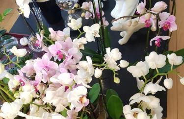 Lyon 4e Croix Rousse Maison complète Jardin - Foto 3