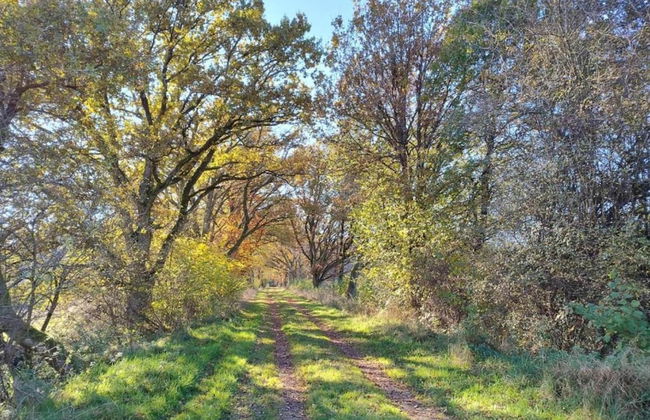 Apartment in Immerath Near Hiking Trails - Photo 31