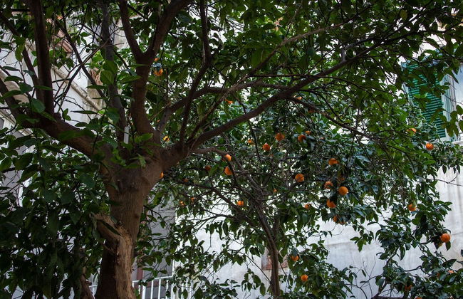 Le Stanze del Vicerè - Photo 33