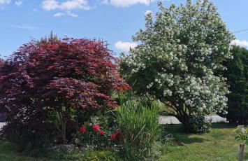 Ferienhaus Ruhe Oase im Bayerischen Wald - Foto 34