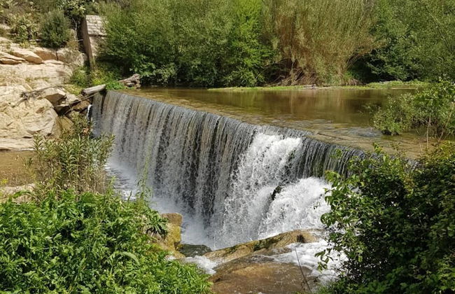 Terry's House - Photo 35