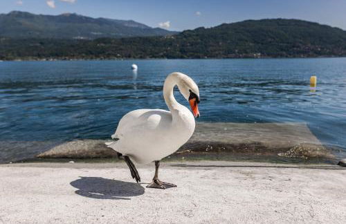 Lago Maggiore Bay - Foto 40