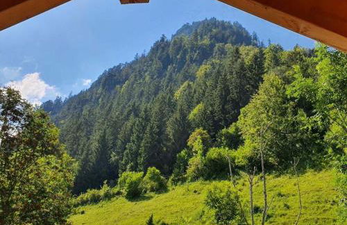 Holiday home in Pfronten with swimming pool - Foto 10