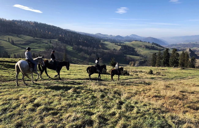 Jaworki Green Dream - Foto 77