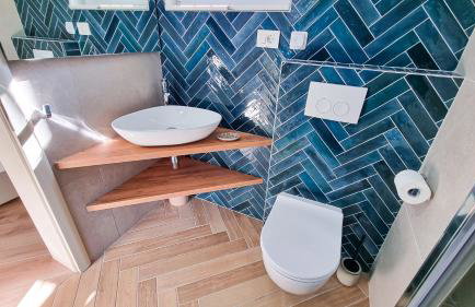 Apt - Villa Sambije with swimming pool, Dobrec - Opatija - Foto 16