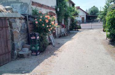 Gospodarstwo agroturystyczne - Foto 51