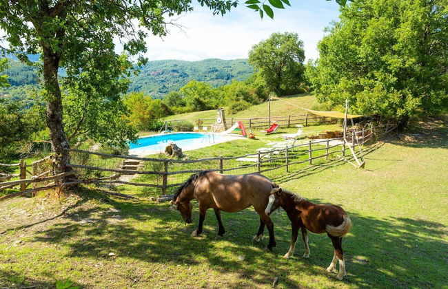 Villa Bellavista Large Private Pool Wifi - 3122 - Foto 31