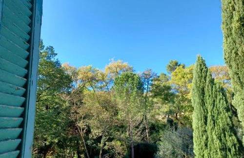 Paradou de saint Joseph Bastide provençale piscine - Foto 41