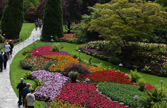 Jardines de Victoria y Butchart - Foto 5