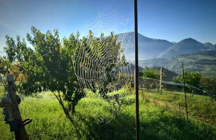 Appartement Nido Visone - Photo 22