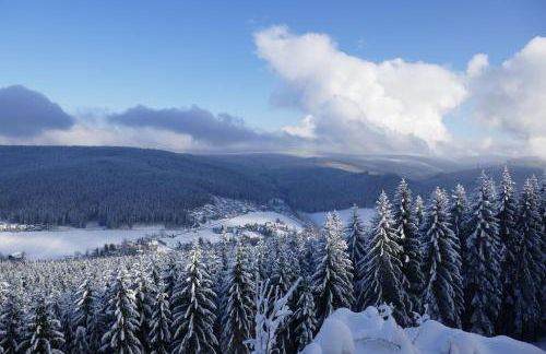 Ferienwohnungen Bleyl Rittersgrün - Foto 18
