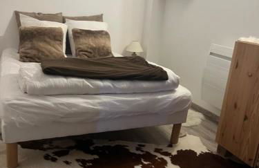 Maison de montagne Alpes du sud/station Les Orres - Photo 19