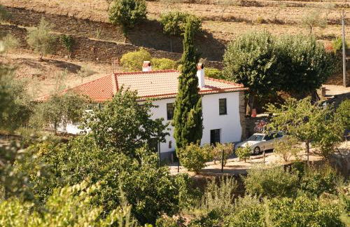 Quinta das Aveleiras - Foto 12